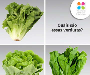 Responda rápido: quais são as verduras da foto?